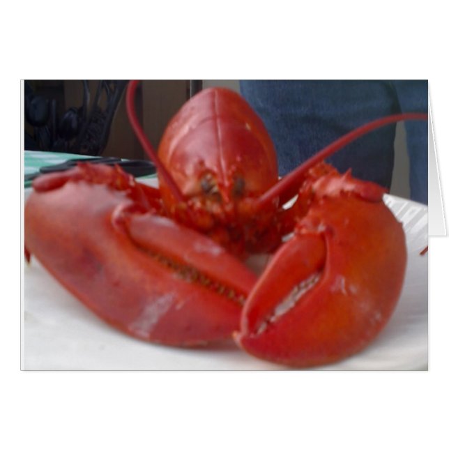 COMICAL LOBSTER JOKES BUT SAYS "HAPPY BIRTHDAY" (Vorderseite (Horizontal))