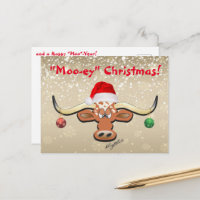 Comical Longhorn Steer Postcard