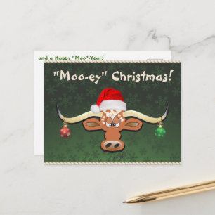 Comical Longhorn Steer Postcard Postkarte