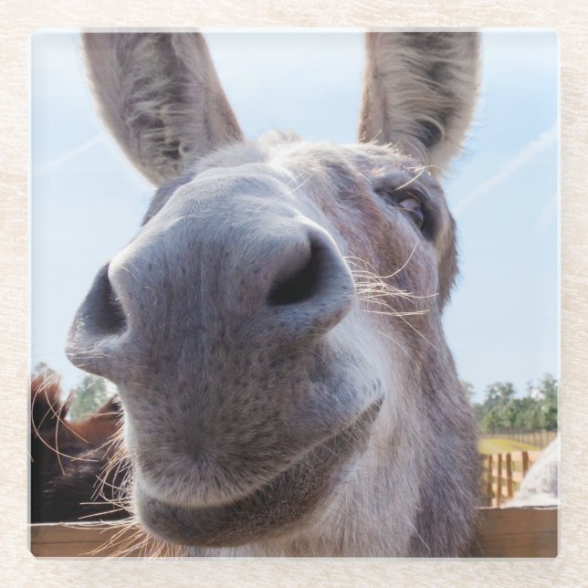 Comical Smiling Gray Donkey Glasuntersetzer (Vorderseite)