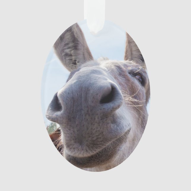 Comical Smiling Gray Donkey Ornament (Vorderseite)