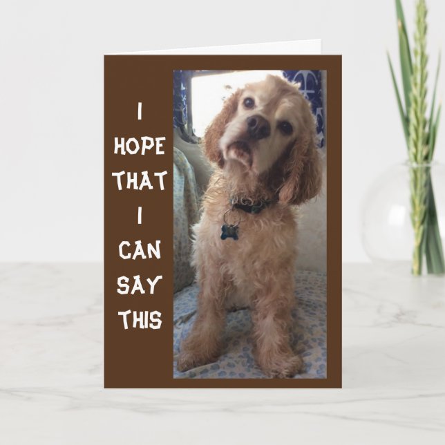 **COMIDIC SPANIEL" GLÜCKLICHE "70." BIRTHDAY Card Karte (Vorderseite)