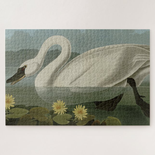 Common American Swan - Audubon's Birds of America Puzzle (Horizontal)