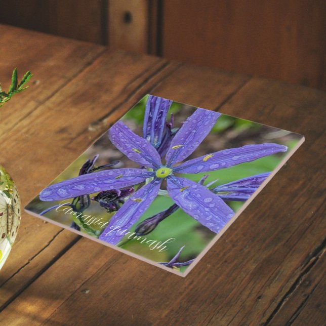 Common Blue Camas Floral Fliese (In Situ)