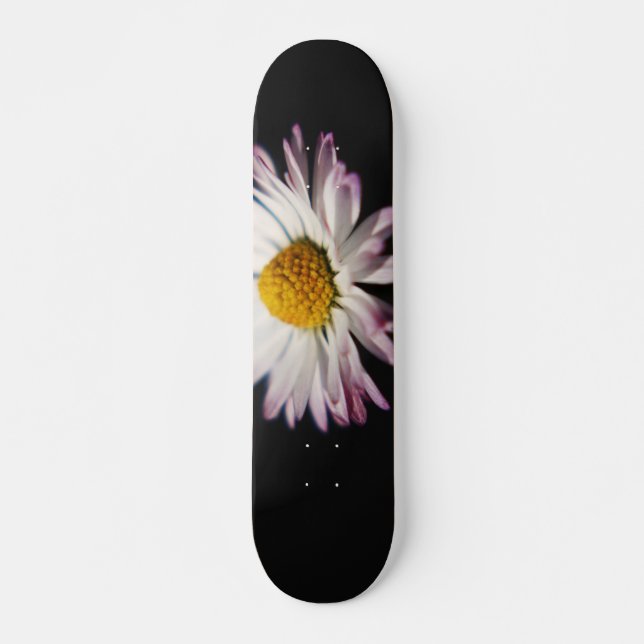 Common Daisy sdcna Skateboard (Vorne)
