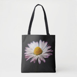 Common Daisy stcna