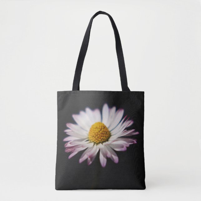 Common Daisy stcna (Vorderseite)