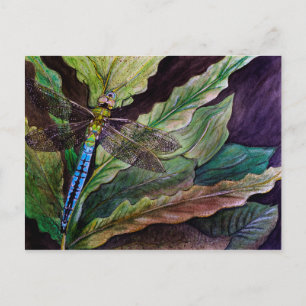 Common Darner Dragonfly Postkarte