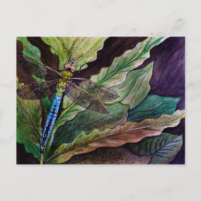 Common Darner Dragonfly Postkarte (Vorderseite)