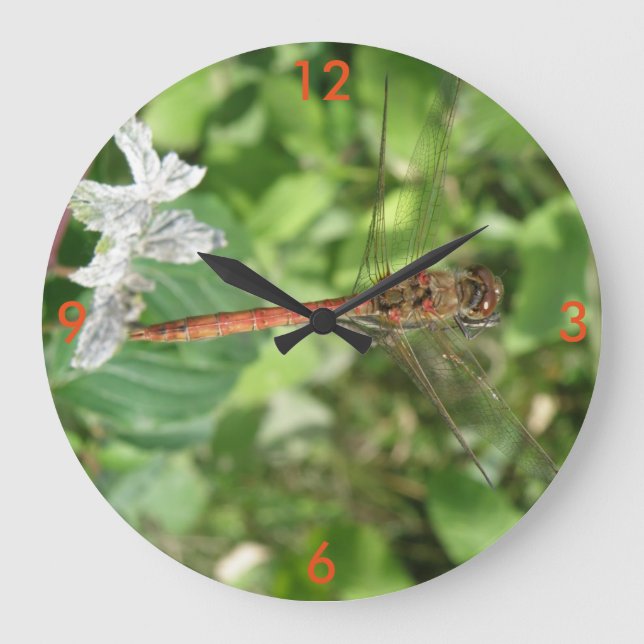 Common Darter Dragonfly Wall Clock Große Wanduhr (Vorderseite)