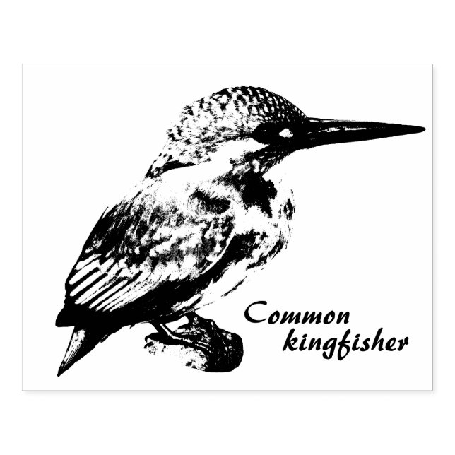 Common kingfisher gummistempel (Prägung)