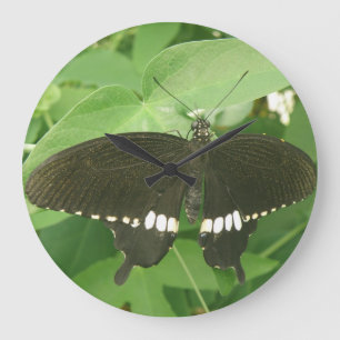 Common Mormon Butterfly Wall Clock Große Wanduhr