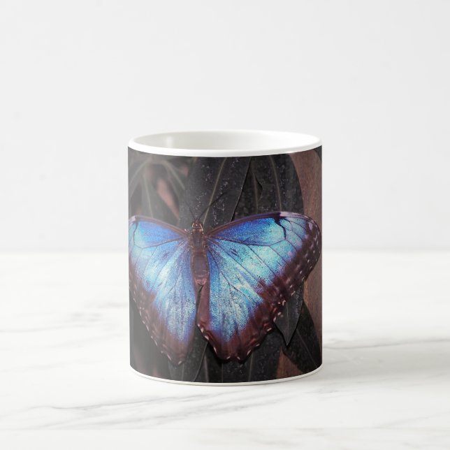 Common Morpho Butterfly Kaffeetasse (Mittel)