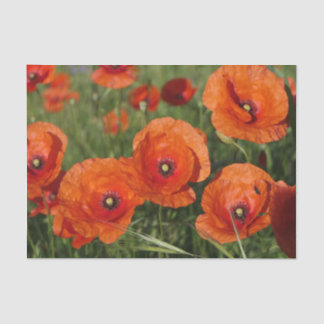 Common Poppies Seidenpapier