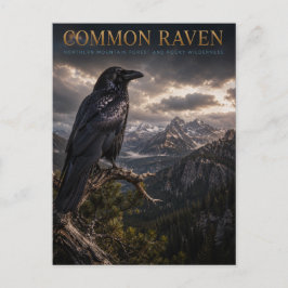 Common Raven Mountain Wilderness TIERWELT Postkarte