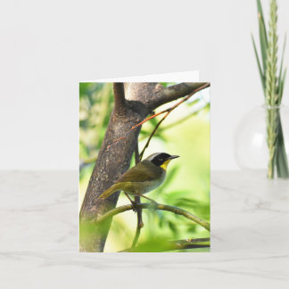 Common Yellowthroat #1 - Blank Note Card Karte