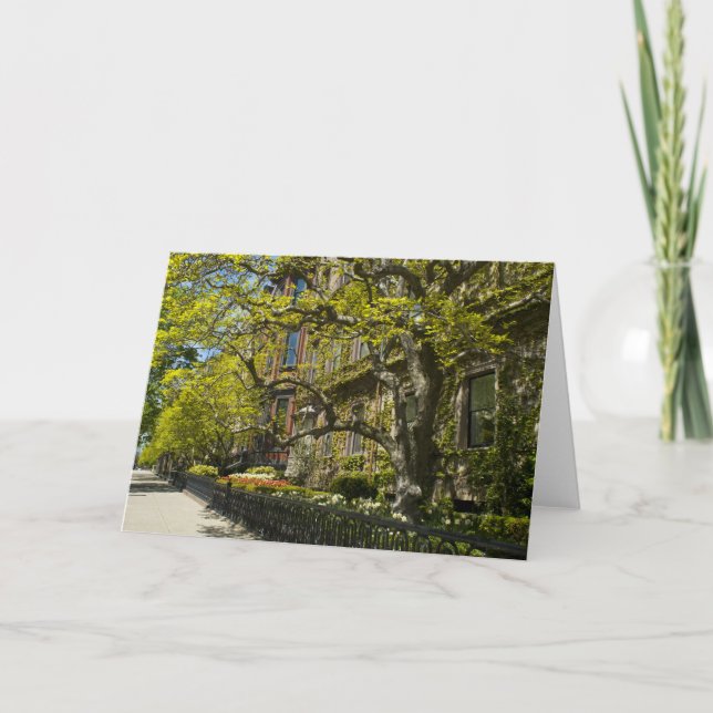 Commonwealth-Allee Gbd, Boston MA Karte (Vorderseite)