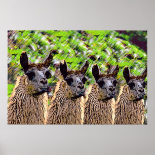 "Como se llama?" Poster