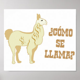 Como Se Llama? Wie heißt du? Poster