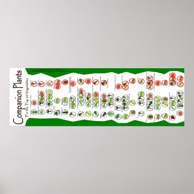 Companion Pflanze Poster: Die Top 20 Garden Pflanz Poster (Vorne)