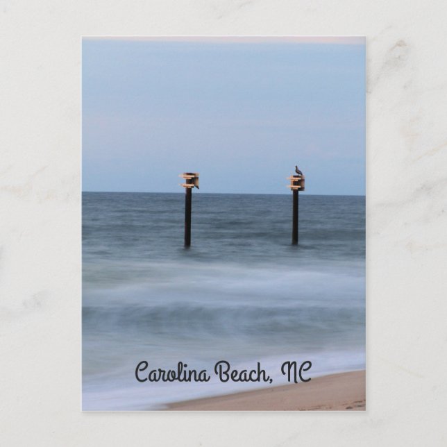 Company for Sunrise Vertikalpostcard Postkarte (Vorderseite)