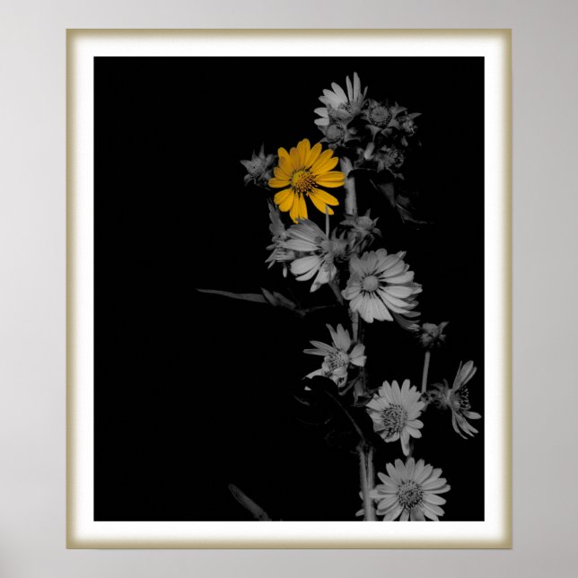 Compass Blume Print Poster (Vorne)