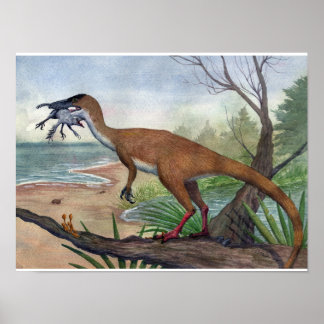 Compsognathus Print Poster