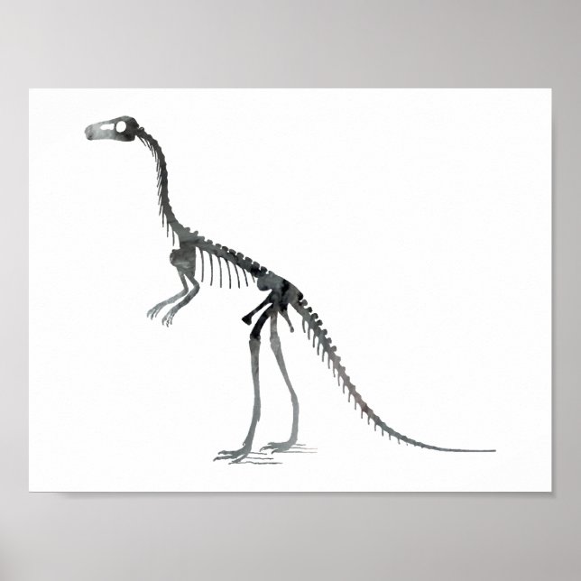 Compsognathus-Skelett Poster (Vorne)