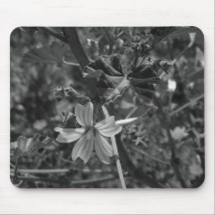 COMPUTER DESKMAT MAUSPAD ART&DESIGN