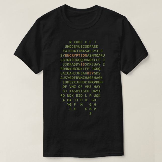 Computer Scientist Hacker Encryption ist das Schlü T-Shirt (Design vorne)