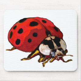 Computermousepad Mousepad