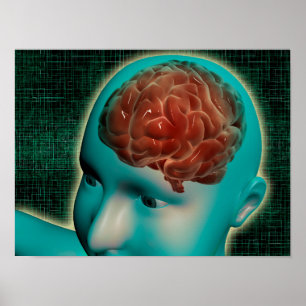 Concept Image of Female Body with Brain 1 Poster