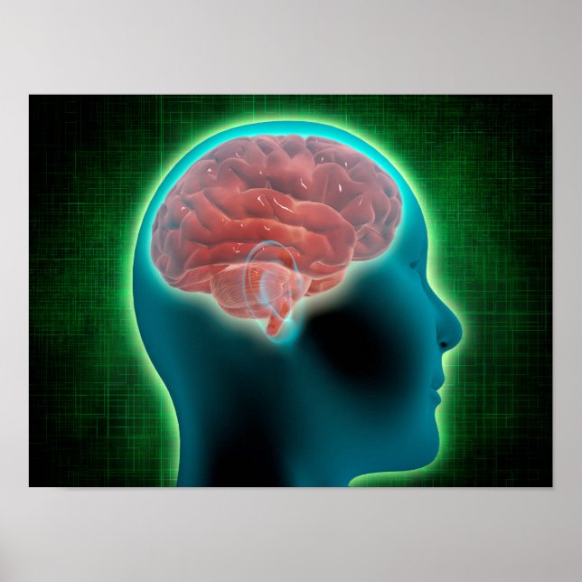 Concept Image of Female Body with Brain 2 Poster (Vorne)