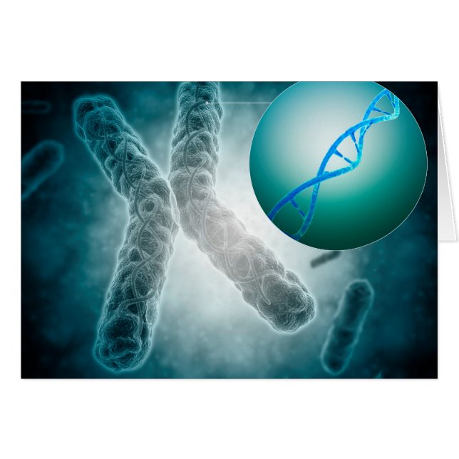 Conceptual Image of a Telomere show DNA (Vorderseite (Horizontal))