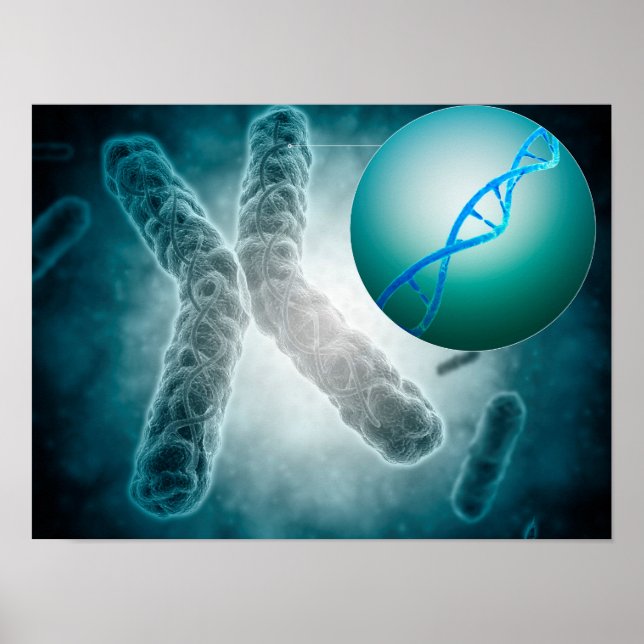 Conceptual Image of a Telomere show DNA Poster (Vorne)