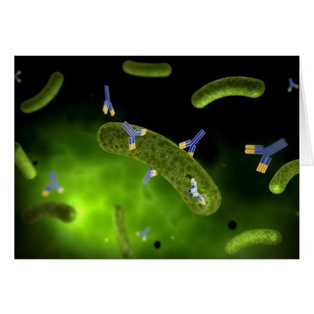 Conceptual Image of Antibody Killing Bacteria (Vorderseite (Horizontal))