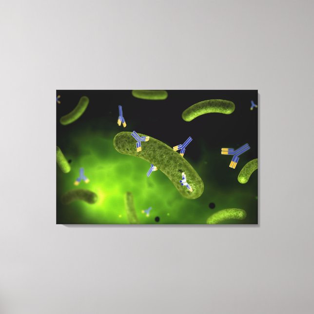 Conceptual Image of Antibody Killing Bacteria Leinwanddruck (Vorderseite)