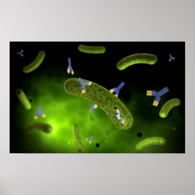 Conceptual Image of Antibody Killing Bacteria Poster (Vorne)