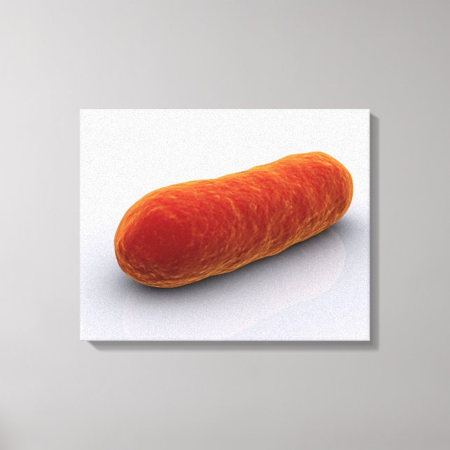 Conceptual Image of Bacteria 4 Leinwanddruck (Vorderseite)