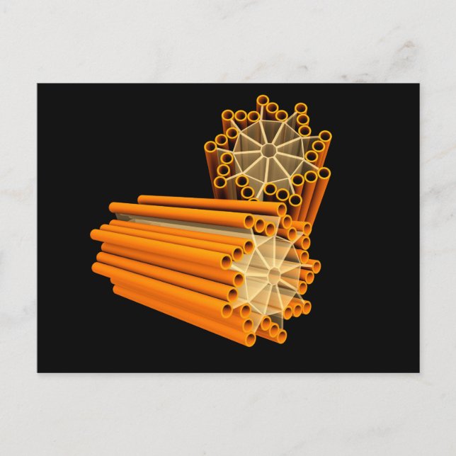 Conceptual Image of Centrioles 1 Postkarte (Vorderseite)
