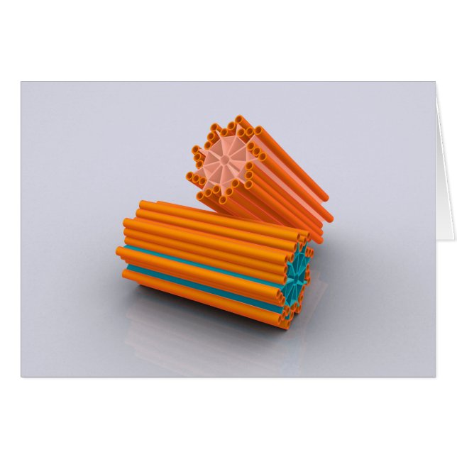 Conceptual Image of Centrioles 2 (Vorderseite (Horizontal))