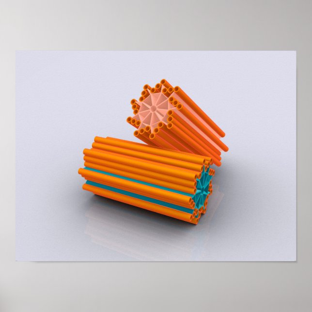 Conceptual Image of Centrioles 2 Poster (Vorne)