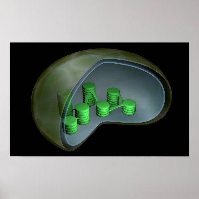 Conceptual Image of Chloroplast 1 Poster (Vorne)