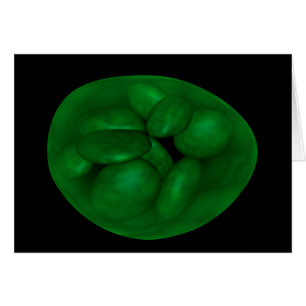 Conceptual Image of Chloroplast 2