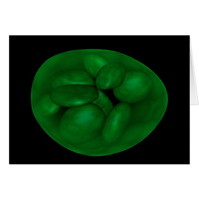 Conceptual Image of Chloroplast 2 (Vorderseite (Horizontal))
