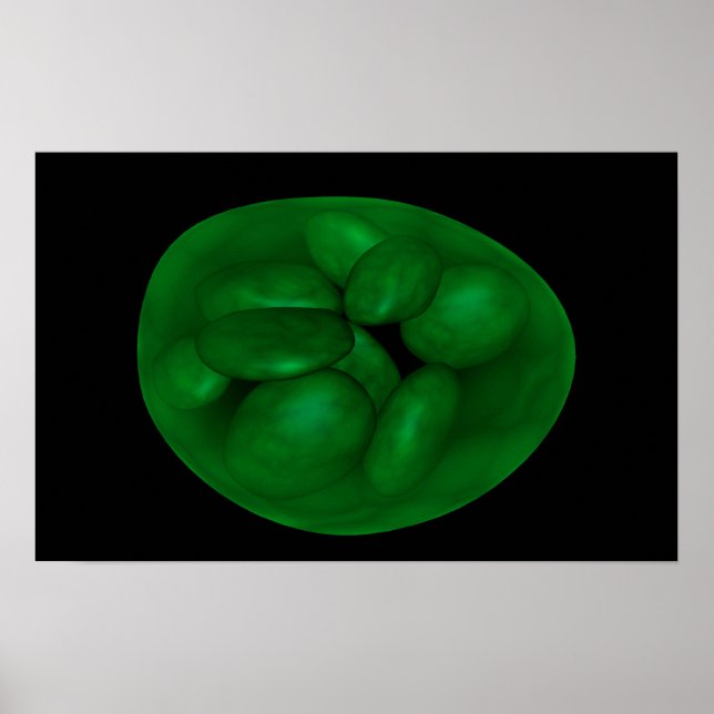 Conceptual Image of Chloroplast 2 Poster (Vorne)
