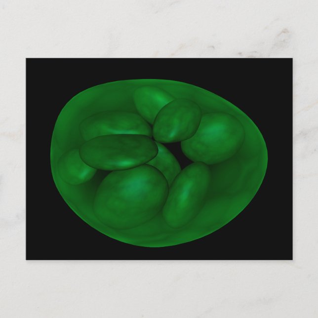 Conceptual Image of Chloroplast 2 Postkarte (Vorderseite)