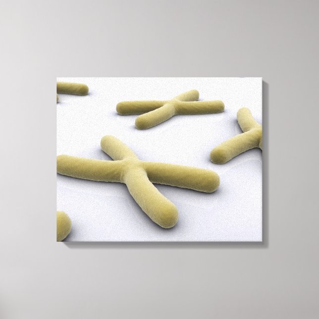 Conceptual Image of Chromosom 1 Leinwanddruck (Vorderseite)
