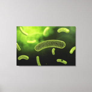 Conceptual Image of Common Bacteria Leinwanddruck