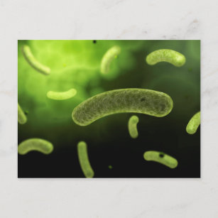 Conceptual Image of Common Bacteria Postkarte